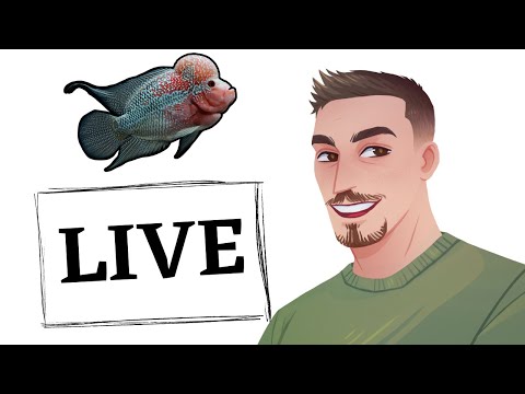 Live Q&A - Bring All The Questions Let’s talk some fish