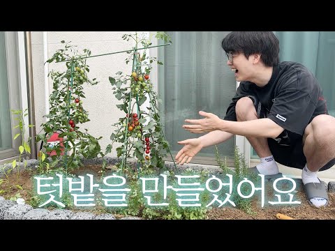 집에 텃밭을 만들었어요