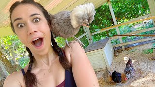 Chicken Coop Makeover & My Favorite Child!