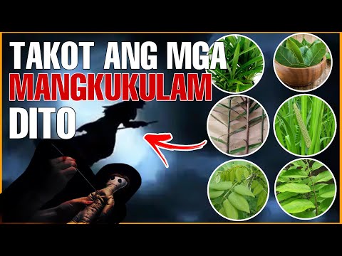 MGA HALAMAN NA KONTRA KULAM AT BAD ELEMENTS | Bhes Tv