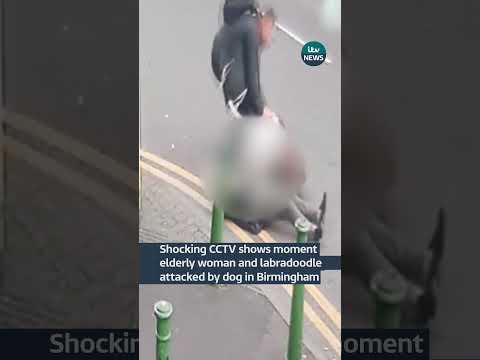 Shocking CCTV shows moment elderly woman and labradoodle attacked by dog in Birmingham #ITVnews