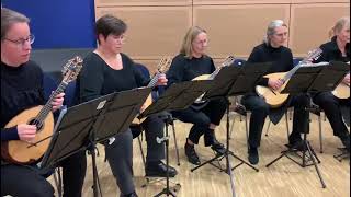 Konzert mit Mandoline und Freunden