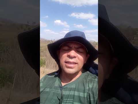 essa reflexão vai falar com você