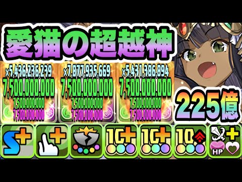 【パズドラ】愛猫の超越神バステト！能力調整！一撃２２５億！ジノ＆トリスタン！ランマル降臨！