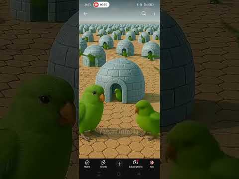 #cutebaby #sajaungalutkarbhiterebadankida my tota#shortvideo ###