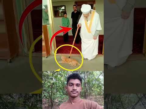 নবীর বংশের লোক ❤️ #islamicstatus #trending