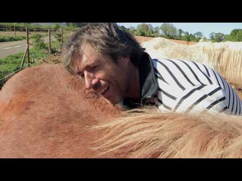 Avec Jean-François et ses chevaux, le dressage se passe en douceur