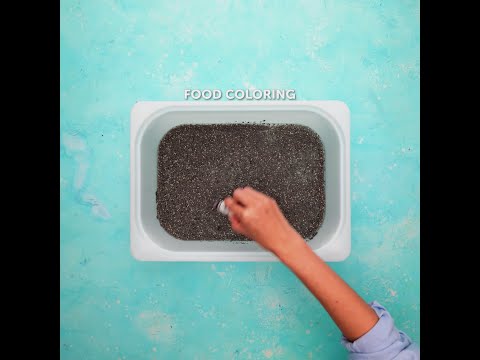 🎨 Fun DIY Projects to Entertain All Day! 🌟