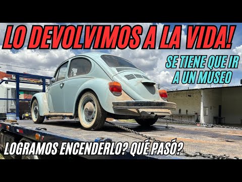 Qué Tenía Este Vocho Última Edición 2004? Quedó Para Museo | NUEVO Desde Hace 21 Años Segunda Parte.