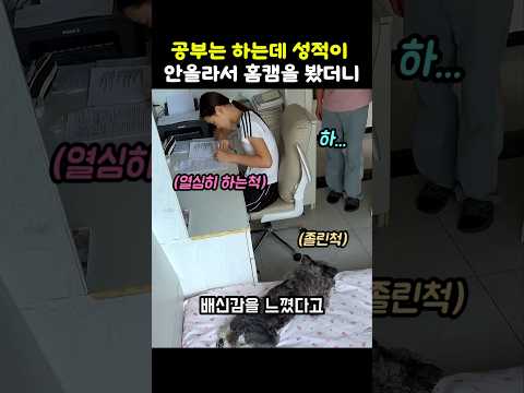 댕댕이 주인이 홈캠을 보고 배신감을 느낀 이유 #강아지 #개 #멍멍이 #개집사 #댕댕이영상 #<strong>웃긴동물</strong>