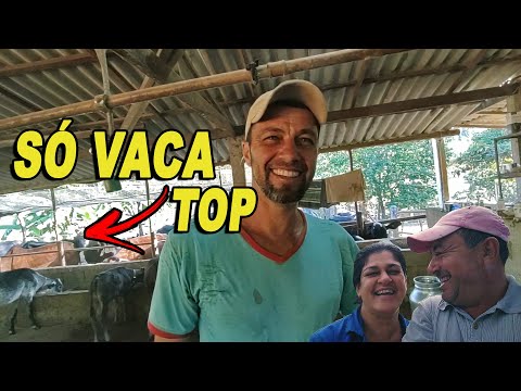 PRODUTOR RURAL EM MINAS GERAIS! - VISITA AO ANSELMO DE ALMEIDA