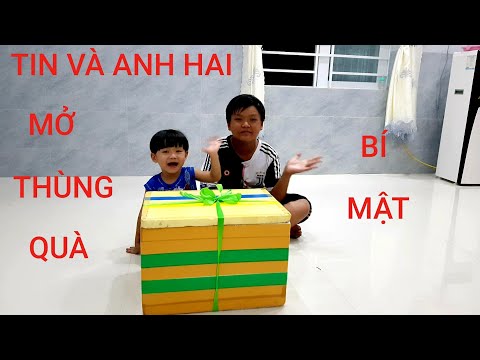 TIN VÀ ANH HAI CHƠI TRÒ MỞ THÙNG QUÀ BÍ MẬT ❤ ĐỒ CHƠI TRẺ EM TIN SIÊU CÒI ❤