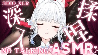 【NO TALKING ASMR】深入揉捏 放鬆把一切交給我吧  3DIO XLR ASMR/睡眠導入/耳マッサージ【天使Vtuber小雪Y
