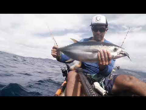 Where The Wild Tingz Stay: Current Smoking Hard – Yellowfin Still Biting! (From the Vault)