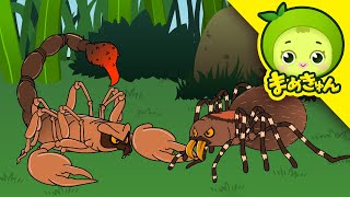 動画サムネイル