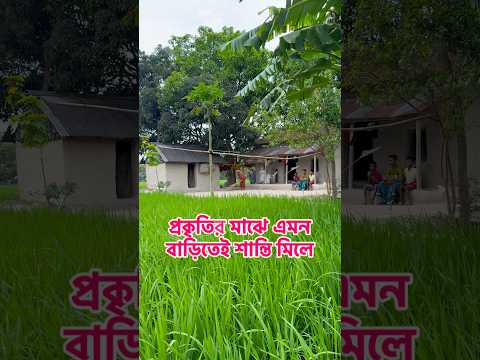 প্রকৃতির মাঝে এমন বাড়িতেই শান্তি মিলে