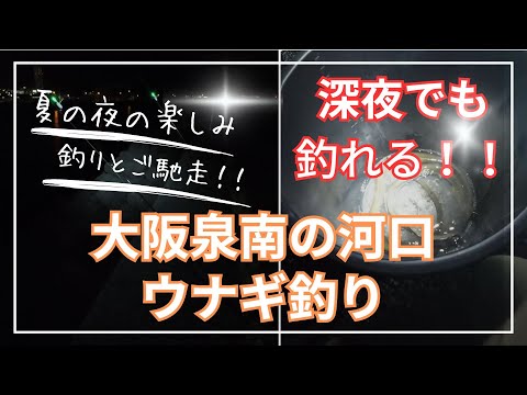 大阪泉南の河口でうなぎ釣り ~まさかの深夜に連続ヒット!~
