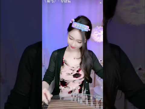 《赛马》#中国音乐 #国乐 #传统民间音乐 #chinesemusic #中国传统乐器 #古筝 #guzheng