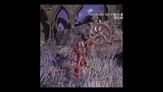 全キャラカンスト済み夜渡りさんの華麗なるスカラベショー #nightreign  #eldenring  #ナイトレイン
