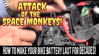 🚨 HONDA GB350s prevent an attack of the space monkeys STAY IN CHARGE with a battery tender!