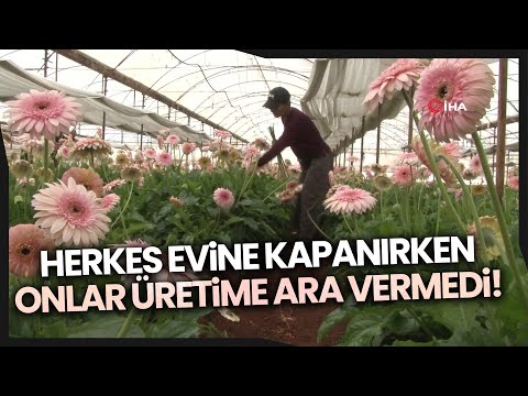 Kısıtlamadan Muaf Tutulan Üreticiler Türkiye’nin Sebze Meyve İhtiyacı İçin Çalışıyor