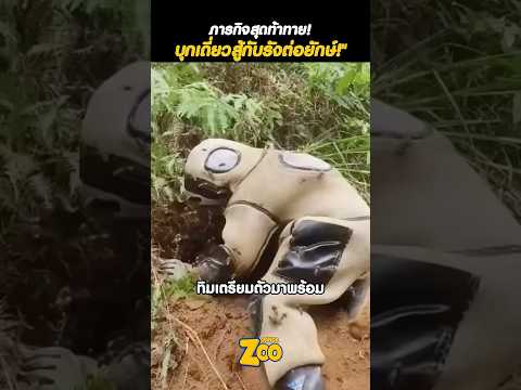 คนอึดบุกรังต่อ แม้โดนต่อย!