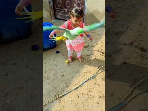 cute baby parrot cute Eliza  cute parrot