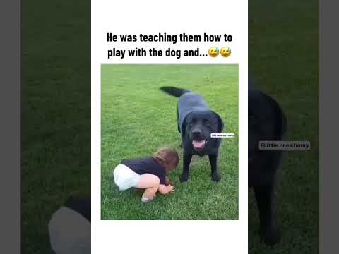Heartwarming Moment: Dad Teaches His Toddler to Play Fetch with the Dog! 🐶👨👦❤️
