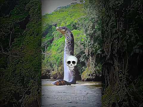 The Rise of SNAKE VERSIONS 🐍 ☠️