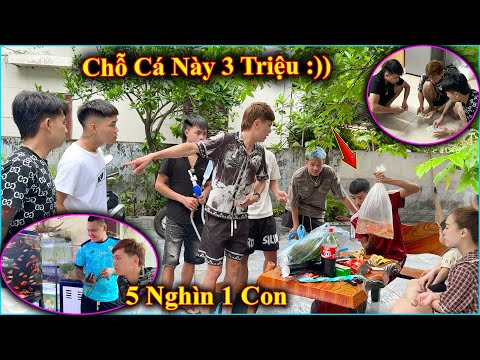 Hoàng Em B.ị Anh Em L.ừ.a T.i.ề.n Cá Cảnh Và Cái Kết