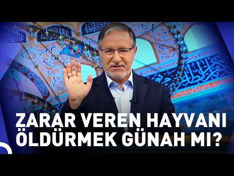 Köpekler Arabama Zarar Verdi Öldürmek Günah Mı? | Prof. Dr. Mustafa Karataş ile Muhabbet Kapısı