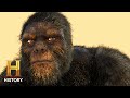 Bigfoot and Mushroom Hunting: Fact or Fiction?
