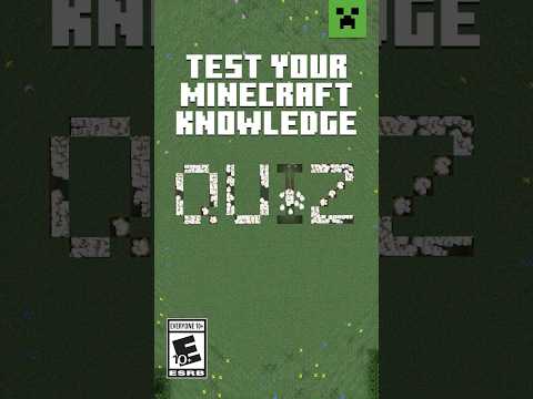 CAN YOU BEAT THIS MINECRAFT QUIZ?