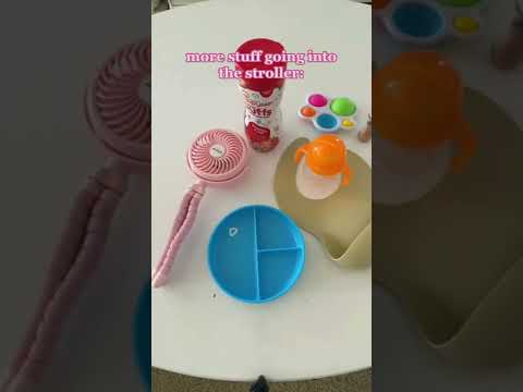 What I Bring to Disneyland for My (almost) 1 Year Old!