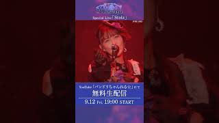 動画サムネイル