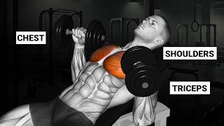 Full Push Day at the Gym | Chest, Shoulders & Triceps Workout for Beginners & Intermediates