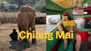 3 days in Chiang Mai 🇹🇭🐘