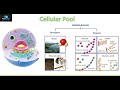 Biomolecules and Their Composition