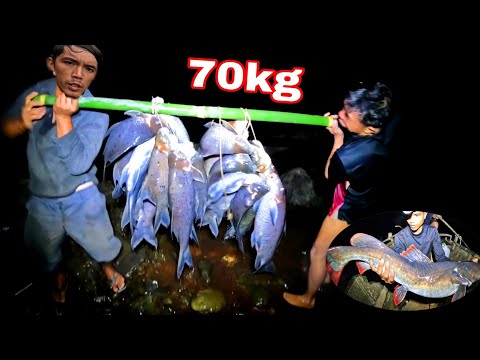 Rừng NHIỀU Cá Lớn | Cá Rừng Chen Nhau Hàng Trăm Con Trong Hốc Đá Dưới Đáy Sông ( phần 1)