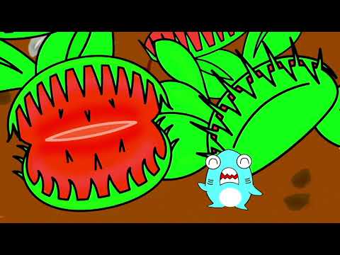 モンスター植物に食べられた？！サメニンとハエの冒険！ラフレシアを見に行こう！