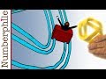 Understanding Möbius Bands and Knots