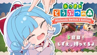 〖 昼活あつ森 〗5日目！しずえさん、もう来てもいいよ┊どっとライブ #ヤマトイオリ