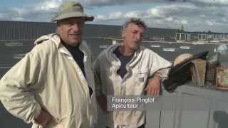 "De Chez Nous" 31 des abeilles sur le toit du Leclerc Romorantin, film de Thierry Damilano