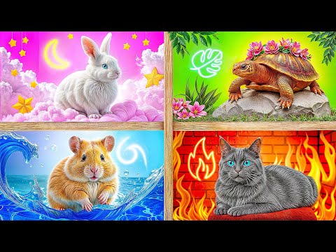 We Built a House For Pets | Funny Situations by TeenDO Challenge
