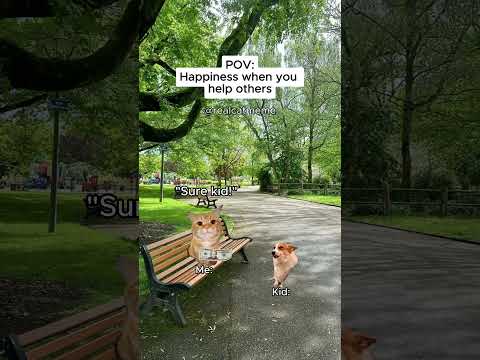 CAT MEMES ๐ฑ Happiness when you help others #shorts #catmemes #relatable