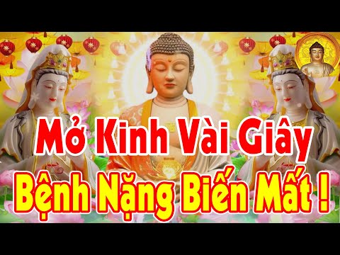 Nghe Ngay Kẻo Muộn – Chữa Lành Bệnh Tật Khổ Đau, May Mắn Tột Cùng, Tài Lộc Phơi Phới Kéo