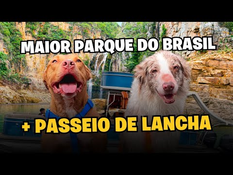 Pauá Parque: Aventura, Beleza e Um Passeio de Lancha Inesquecível!