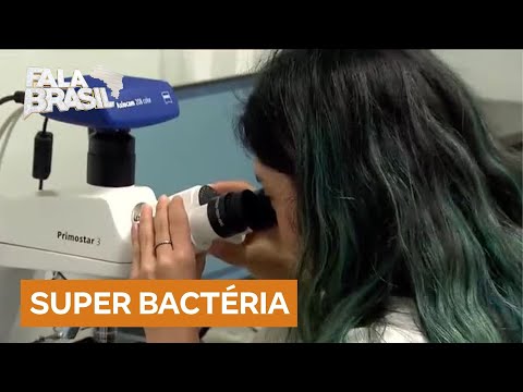 Superbactéria resistente a 15 antibióticos é detectada no Brasil