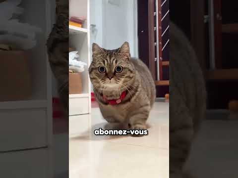 😢 La Vérité Derrière Cette Vieille Dame Va Vous Briser le Cœur 💔