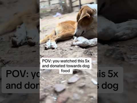 please donate something